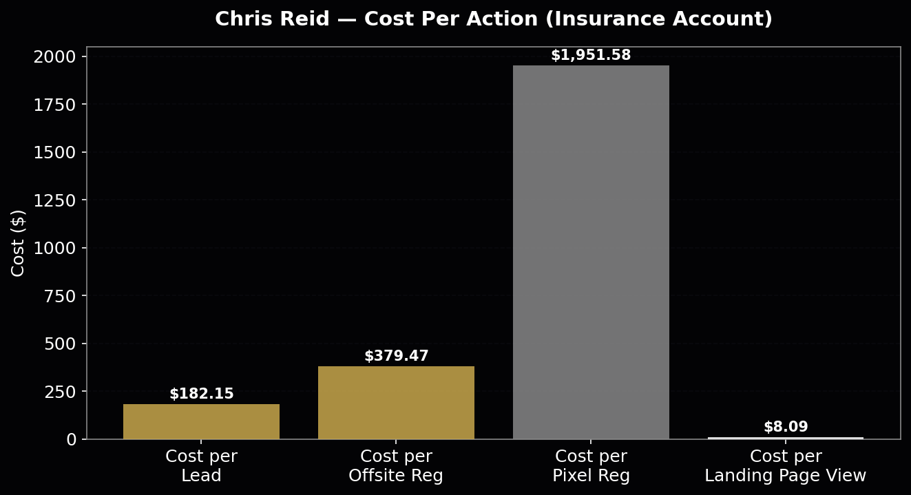 Meta Ads chart showing lead generation cadence over the 8-month engagement.